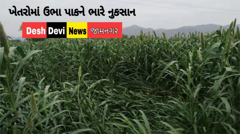 વાવાઝોડાથી ધોવાઈ ગયેલા ખેતરોનો સરવે કરીને સહાય ચૂકવશે ગુજરાત સરકાર.