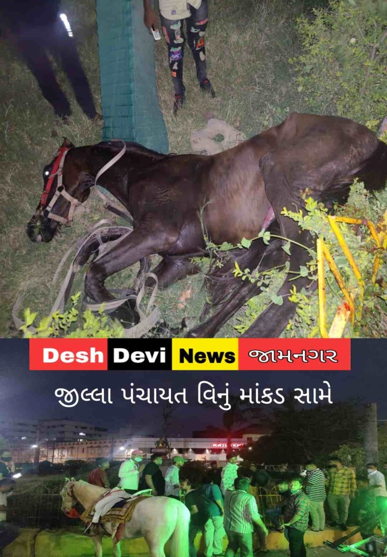 જામનગરમાં બેકાબૂ ઘોડાગાડી બગીચામાં ઘૂસી જતાં અકસ્માત સર્જાયો, જીવન-મરણ વચ્ચે ઝોલા ખાતો ઘોડોએ અંતે દંમ તોડયો.