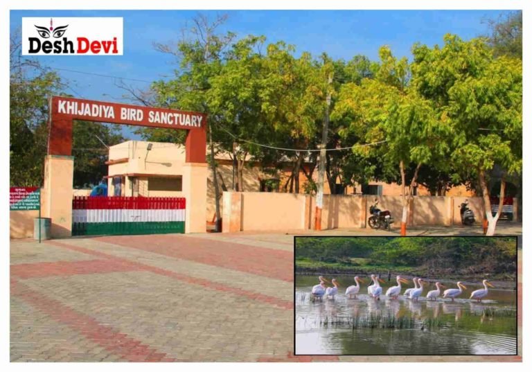 જામનગરના ખીજડીયા પક્ષી અભયારણ્યને રામસર સાઈટ ઘોષિત કરાઈ