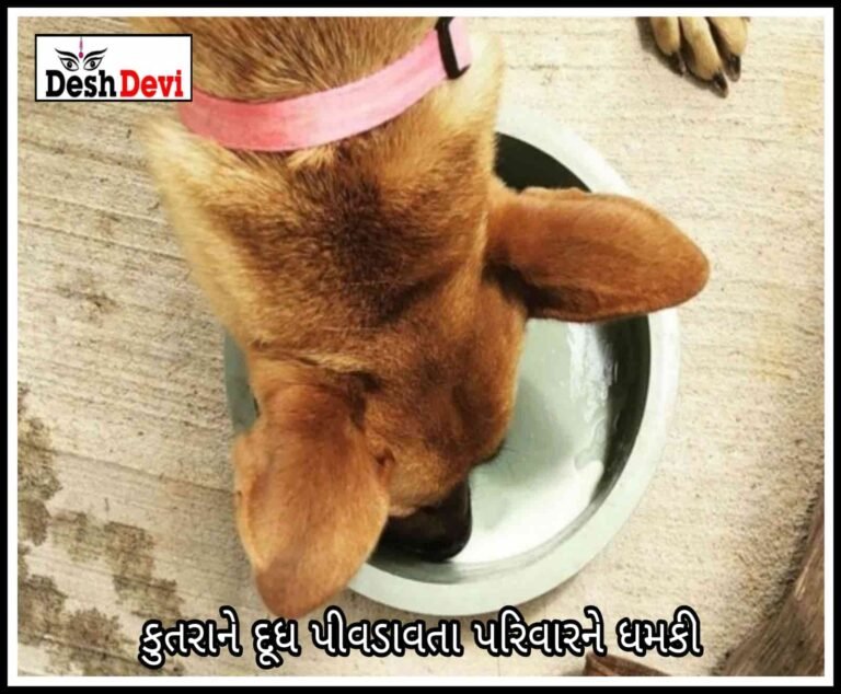 જલાની જાર પાસે કુતરાને દૂધ પિવડાવવા બાબતે 2 પાડોશીઓ બાખડી પડ્યા.