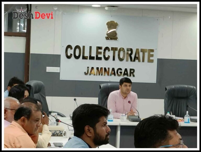 જિલ્લા કલેકટર ડો.સૌરભ પારઘીના અધ્યક્ષ સ્થાને પ્રી-મોન્સુન કામગીરી અંગેની બેઠક યોજાઇ