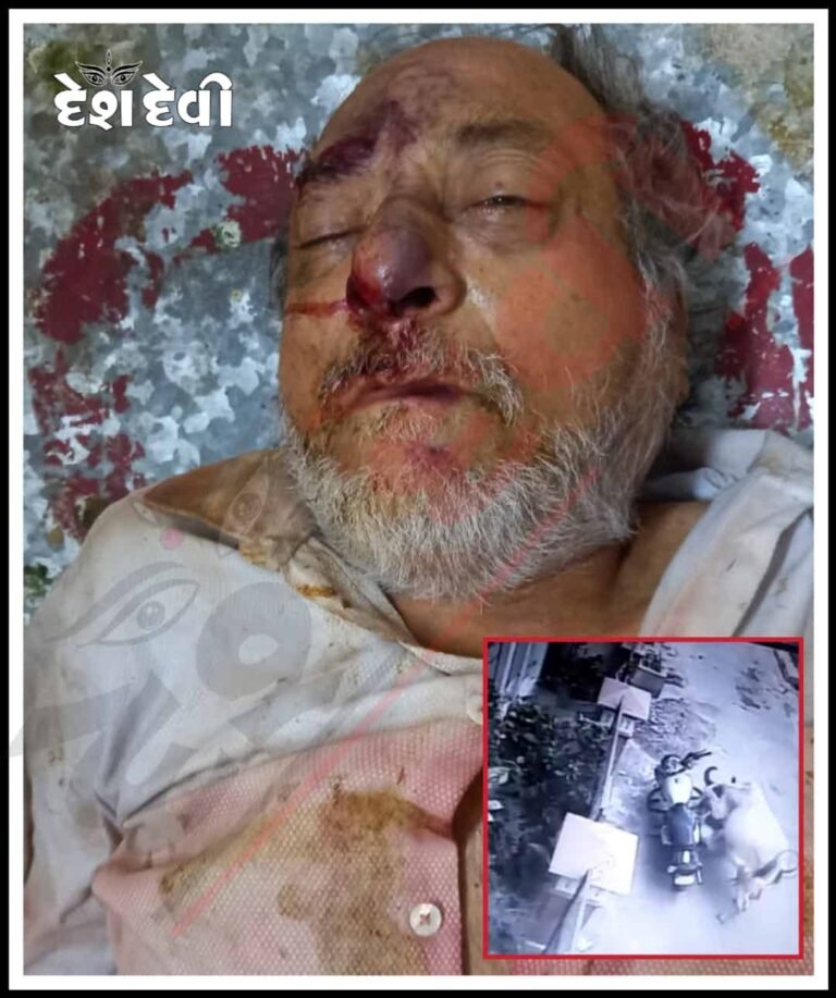 ચાંદી બજાર વાણિયાવાડમાં મોતનો નગ્નનાચ: વૃદ્ધે જીવ ગુમાવ્યો: જુવો Live Video