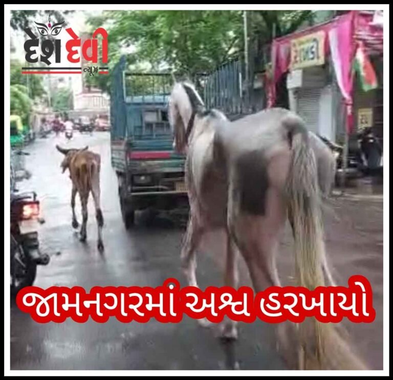 જામનગરમાં અશ્વ હરખાયા : માલિક વગર શહેર ભ્રમણ : જુવો VIDEO