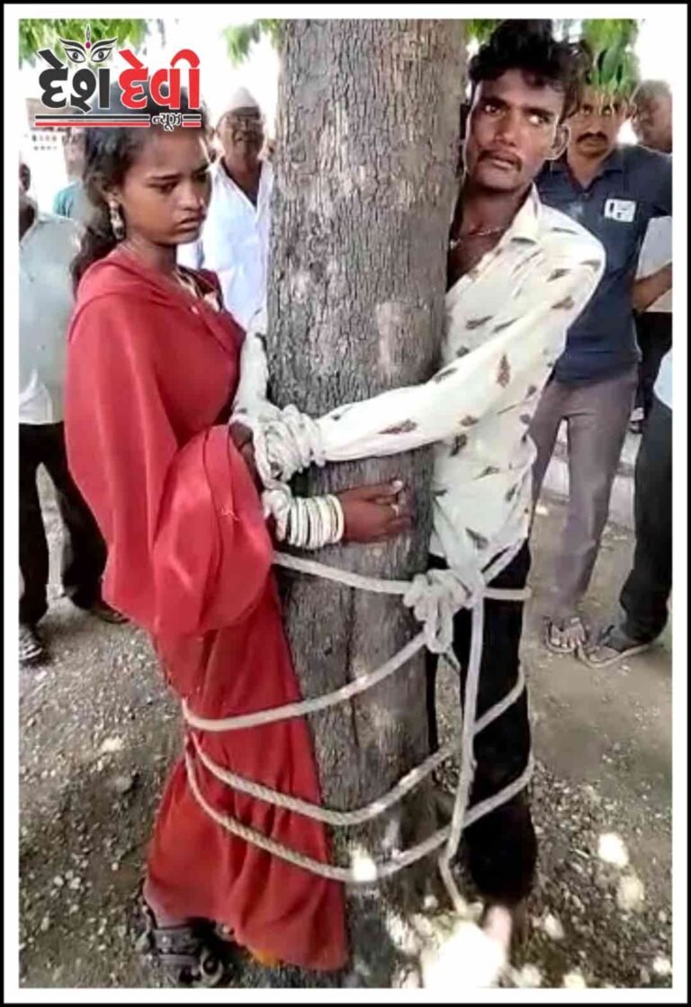 જામનગર કાલાવડના જસાપર ગામમાં ચોરી કરતી ટોળકીને ઝાડ સાથે બાંધી સરાભરા કરી: જુવો VIDEO