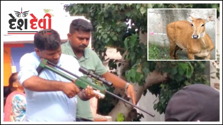 જામનગરમાં રિલાયન્સ ઝૂ દ્વારા નીલગાયનું દિલધડક રેસ્ક્યુ: જુવો VIDEO