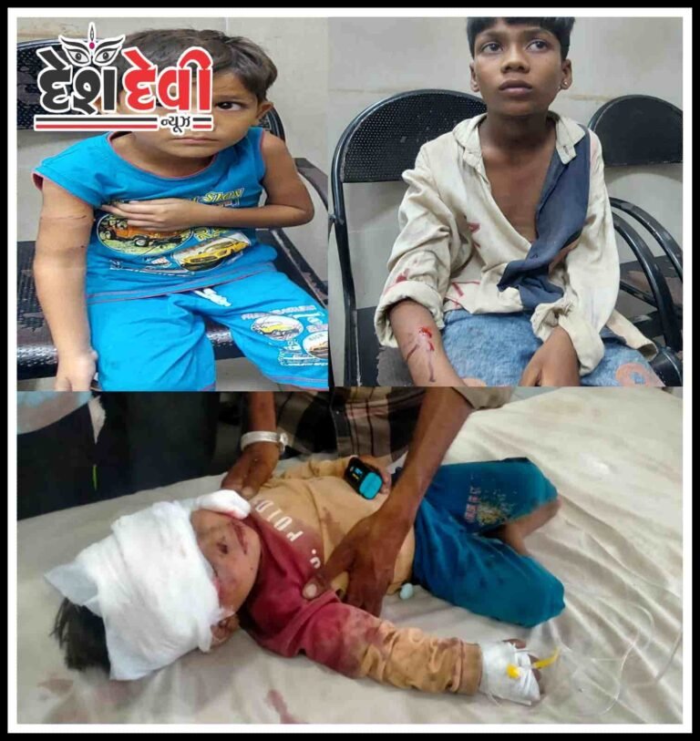 ધ્રોલ પંથકના તમાચણ અને રોજીયામાં શ્વાને 3 બાળકોને ચૂંથી નાખ્યા : જુવો VIDEO