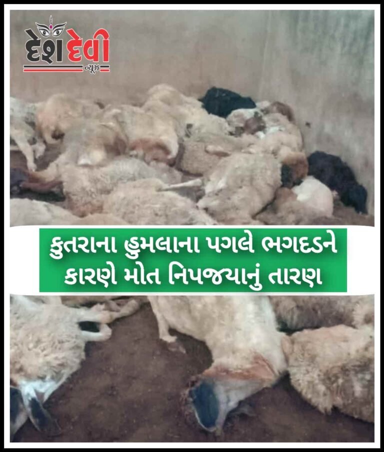 કુતરાના ડરથી ૪૦ ઘેટા-બકરાના સાગમટે મોત