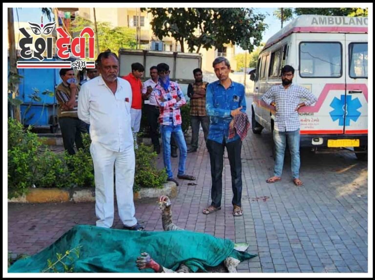 જામનગરમાં પાંચ દિવસ પહેલા લાપતા યુવાનનો મૃતદેહ સાંપડ્યો: જુવો VIDEO