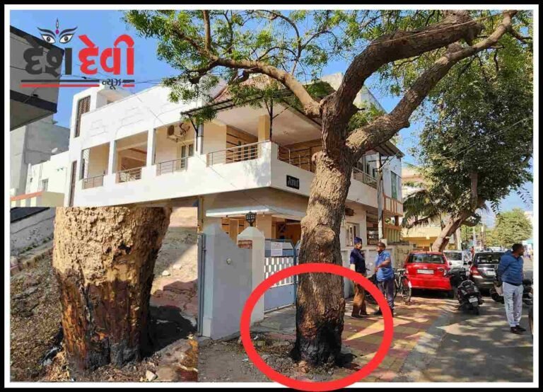 જામનગરમાં ઘટાદાર વૃક્ષોની હત્યાનું કાવતરું: સફેદ કોલરના કાળા કામ