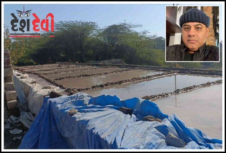 નદીમાં ગેરકાયદેસર રીતે ખડકી દેવાયેલ પુલ બાબતે મ્યુનિ.કમિશ્નર અને જિલ્લા કલેક્ટરને લીગલ નોટીસ પાઠવતા ખળભળાટ