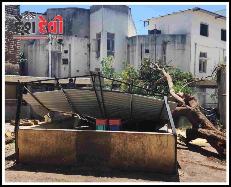 જામનગર હોસ્પિટલમાં ”શબરી ઘર” પર તોતિંગ વૃક્ષ ધરાશાયી : દર્દીના સગાનો આકસ્મિક બચાવ : જુવો VIDEO