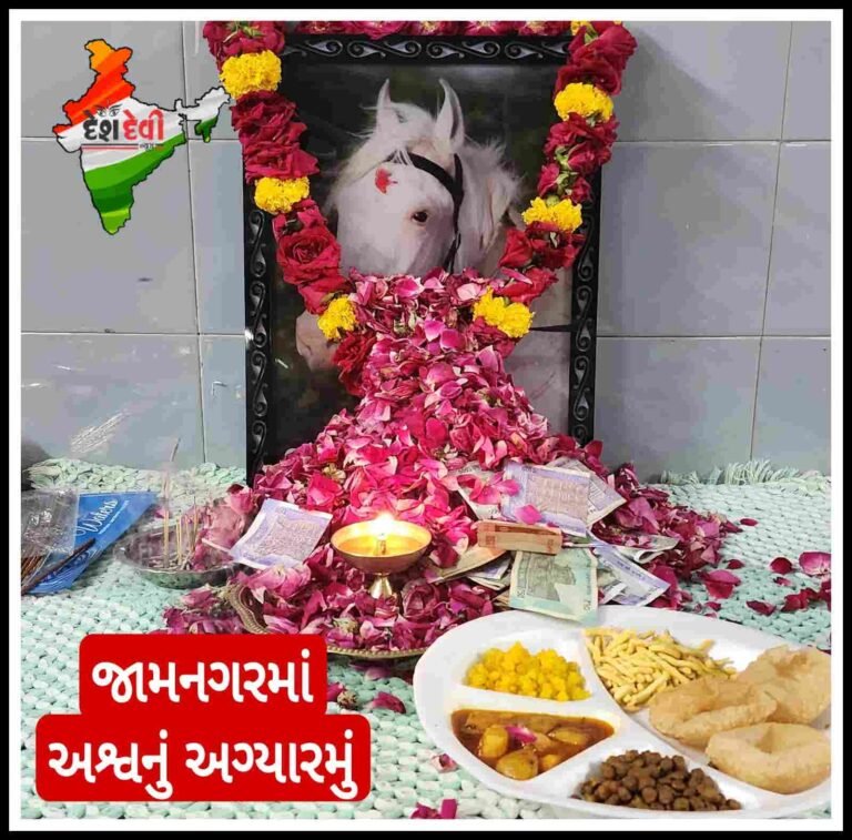 જામનગરમાં અશ્વનું અગ્યારમું : મોક્ષમંત્ર સાથે અંતિમયાત્રા નિકળી, દફનવીધી કરાઈ જુવો VIDEO