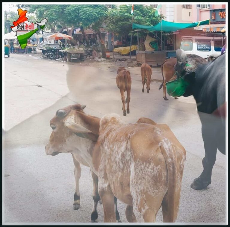 જામનગર ઢીંચડામાં રખડતા ઢોરની હડફેટે ચઢેલા પ્રૌઢનું મોત