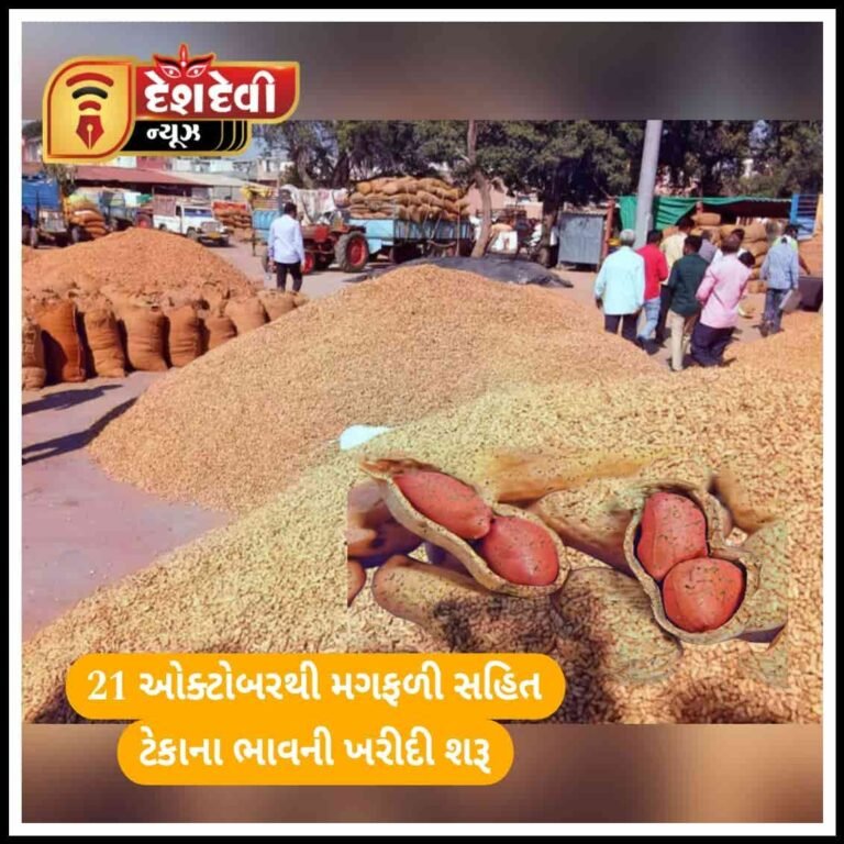જામનગરમાં ૨૧ ઓક્ટોબરથી મગફળી સહિતના પાકોની ટેકાના ભાવે ખરીદી થશે