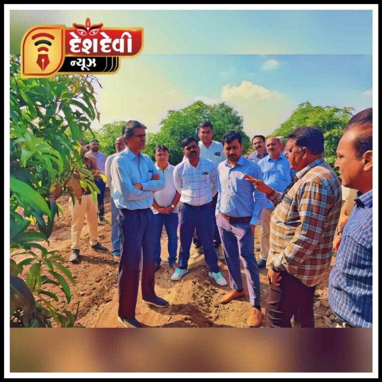જામનગર ક્લેક્ટર, ડીડીઓએ પ્રાકૃતિક કૃષિ મોડેલ ફાર્મની મુલાકાત લીધી