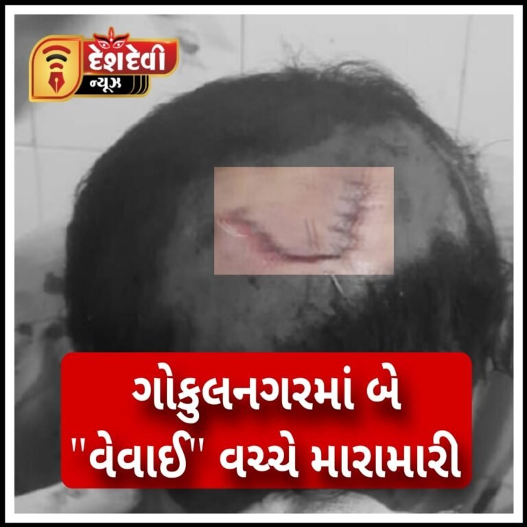 જામનગર ગોકુલનગરમાં વેવાઈએ વેવાઈને ઢીંબી નાખ્યા : ચારને ઇજા