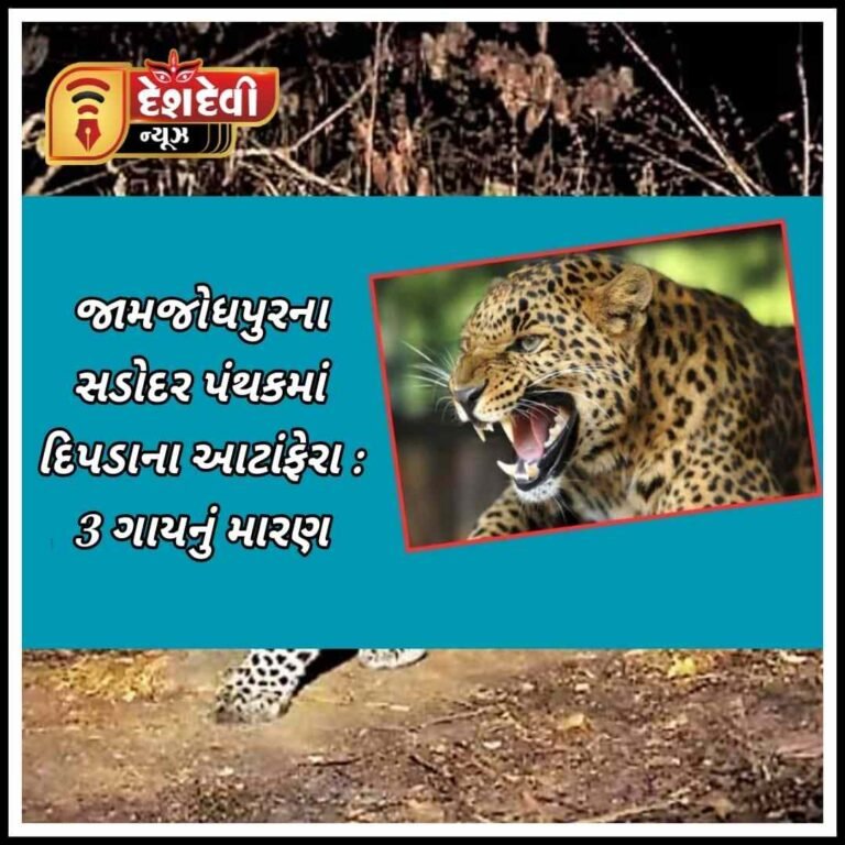 જામજોધપુરના સડોદર ગામ પાસે દિપડાએ ત્રણ ગાયનું મારણ કર્યું