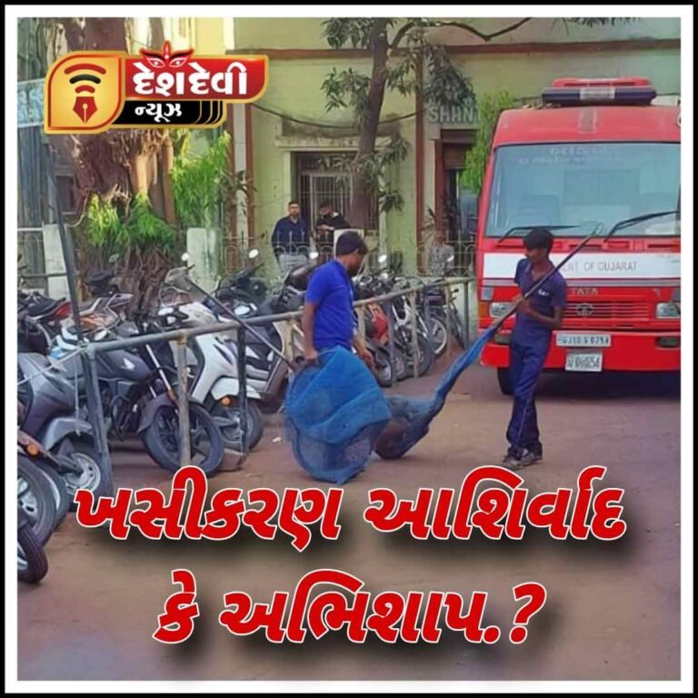 જામનગર માં કુતરાઓ નું ખસીકરણ આર્શિવાદ કે અભિશાપ.!!