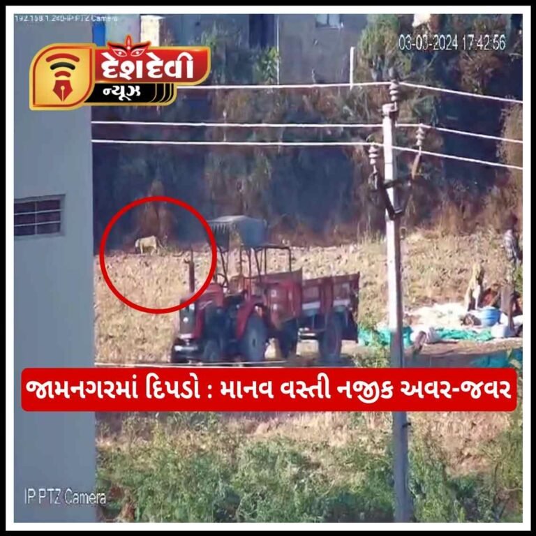 જામનગરમાં દિપડો : માનવ વસ્તીથી માત્ર ૫૦ મીટર દૂર દીપડાની અવરજવર