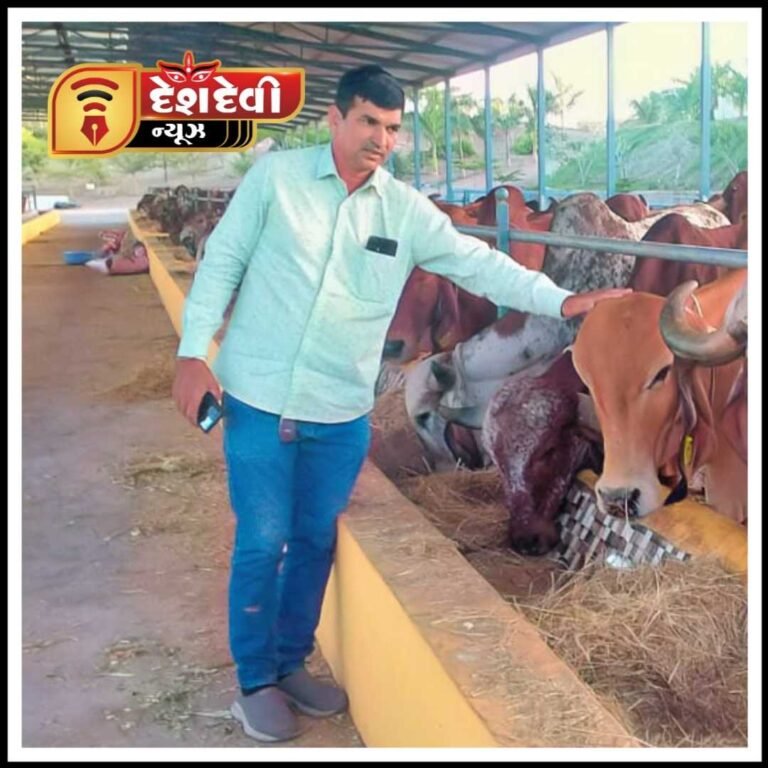 જામનગરમાં સરિતા ગીર ગૌ- સંવર્ધન કેન્દ્ર એટલે ગાયોનું કુદરતી રહેઠાણ