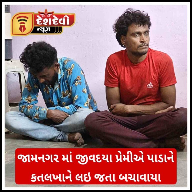 જામનગરમાં ‘પાડા’ ને કતલખાને લઈ જતા બચાવવા રોડ પર સર્જાયા ફિલ્મી દ્રશ્યો