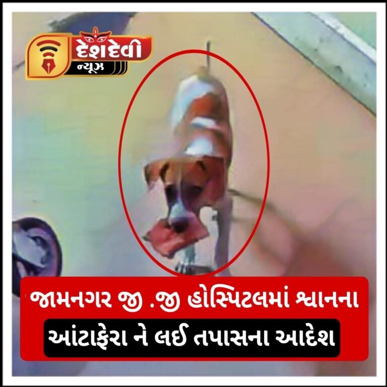 જામનગર જી.જી હોસ્પિટલના શ્વાન પ્રકરણમાં સુપ્રી. દ્વારા તપાસના આદેશ