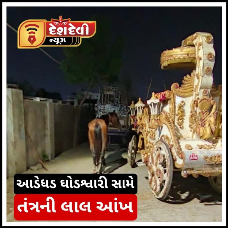 જામનગરમાં આડેધડ ઘોડેશ્વારી કરાવતા ઘોડાગાડી વાળાઓ પર તવાઈ
