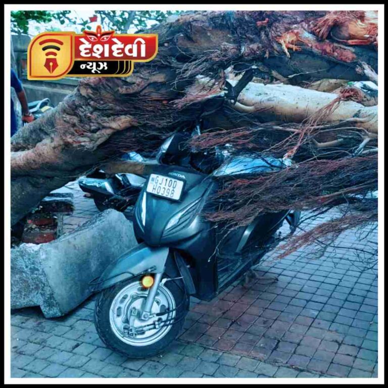 જામનગરમાં તળાવની પાળે ઝાડ જમીન દોસ્ત થતાં સ્કૂટર દબાયું