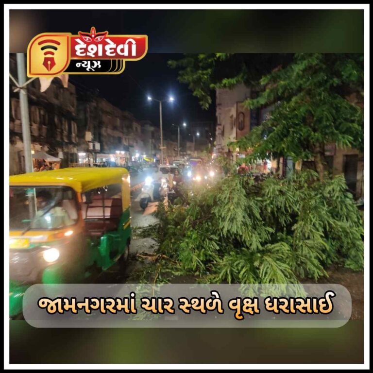 જામનગરમાં સાંજે પડેલા તોફાની વરસાદને લઈને ચાર સ્થળે ઝાડ પડી ગયાના અહેવાલ