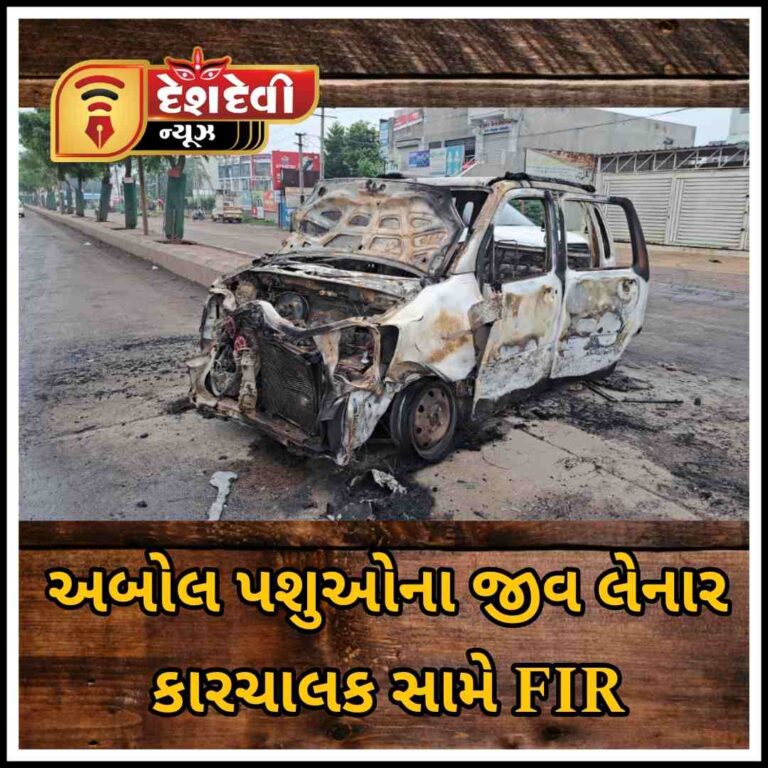 જામનગરમાં અબોલ પશુઓના જીવ લેનાર કારચાલક સામે પોલીસ ફરિયાદ