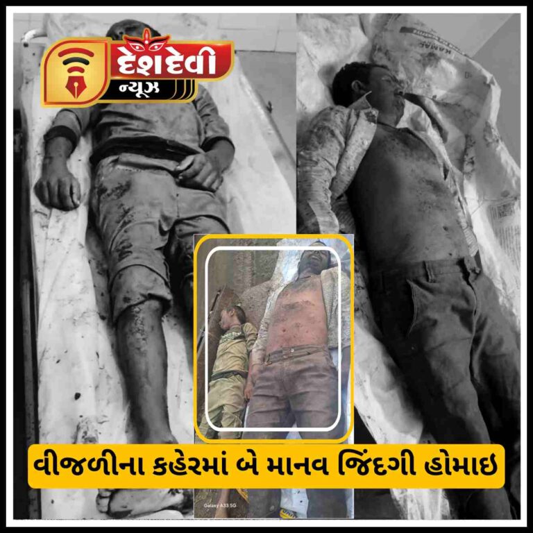 જામનગર : લાલપુર પંથકમાં વરસાદી વીજળીના કહેરમાં બે માનવ જિંદગી હોમાઇ