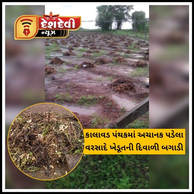 જામનગર : કાલાવડ પંથકમાં અચાનક પડેલા ધોધમાર વરસાદે ખેડૂતની કમર તોડી નાખી