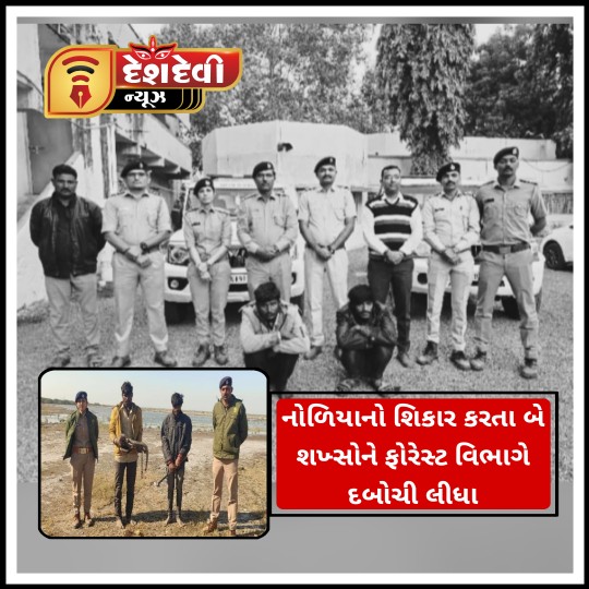 વાડીનાર : જાખર કોઠાના જંગલમાં ‘નોળિયા ‘ નો શિકાર કરતા બે ઝડપાયા
