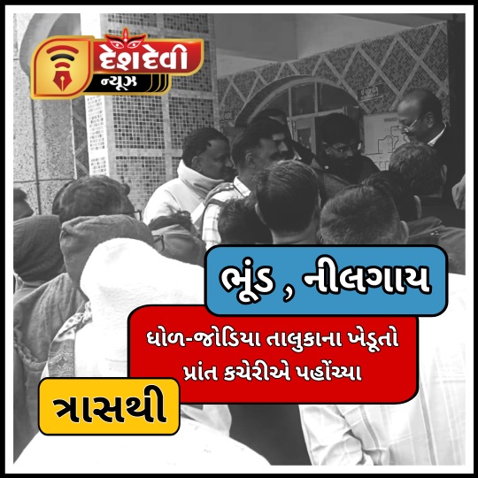 ધ્રોળ- જોડીયામાં નિલગાય અને ભૂંડના ત્રાસથી ત્રસ્ત ખેડૂતો ધ્રોળના પ્રાંત કચેરીએ પહોંચી રજૂઆત કરી