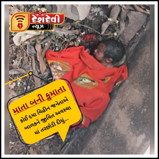 જામનગરના હાપામાં નવજાતને ત્યજી નિષ્ઠુર જનેતા પલાયન
