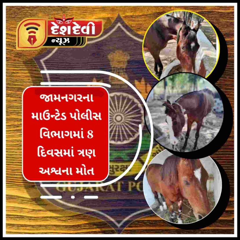 જામનગરના માઉન્ટેડ પોલીસ વિભાગમાં 8 દિવસમાં ત્રણ અશ્વના મોત