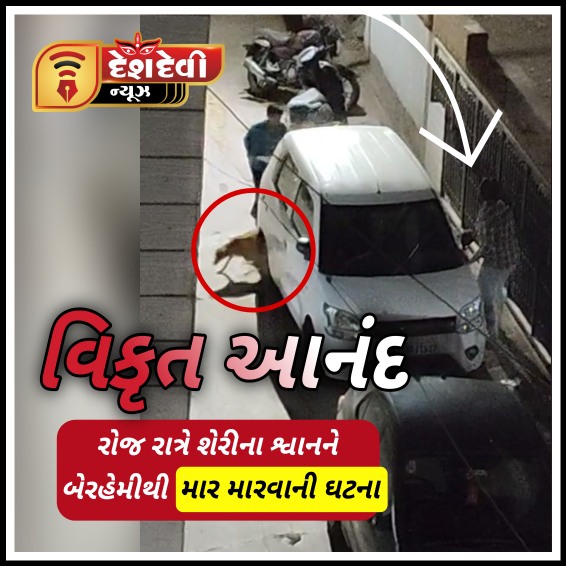 જામનગરના સદગુરુ કોલોનીમાં શ્વાન ને રોજ ક્રૂરતાપૂર્વક માર મારવાની ઘટનાથી ચકચાર