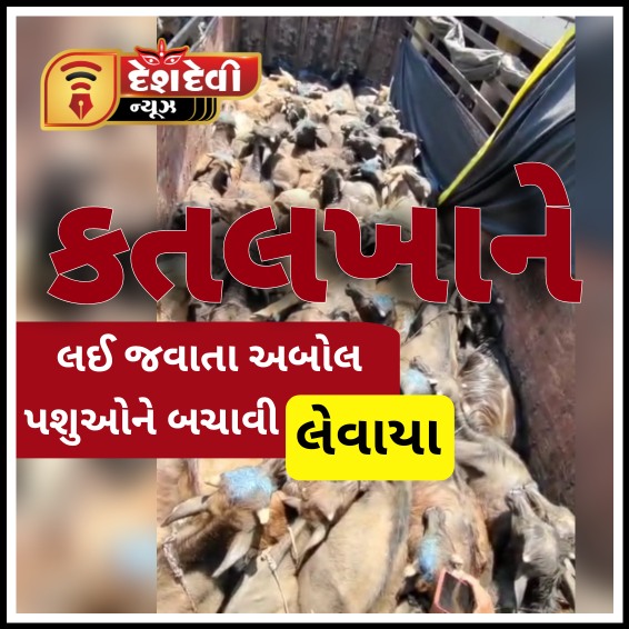 જોડીયા અબોલ પશુઓને ઠસોઠસ ભરી ટ્રક નિકળતા VHP પ્રગટ થઇ
