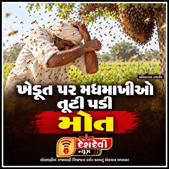 જામજોધપુર સોયાબીન કાપતા ખેડૂત પર મધમાખીઓનો ભયાનક હુમલો, સારવાર દરમિયાન મોત